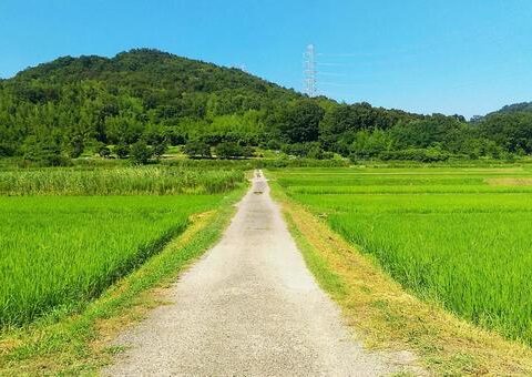 行田市　持田駅周辺　葬儀社